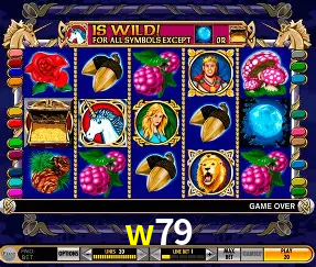 Descubra o Mundo do Cassino Online com w79